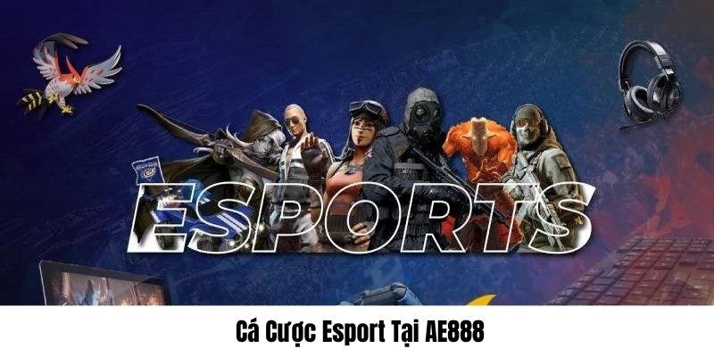 Cá Cược Esport